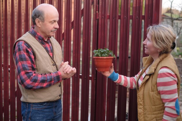 Two neighbors man and woman looking on new plant in pot