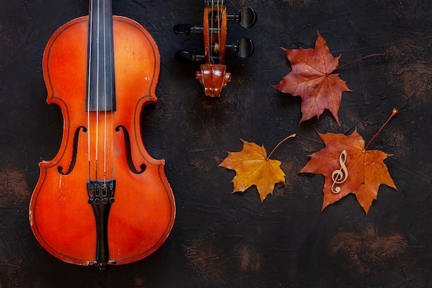 Two Old violin with yellow autumn maple leave. 