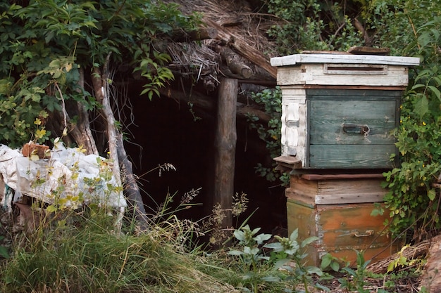 Two old wooden closed beehives 