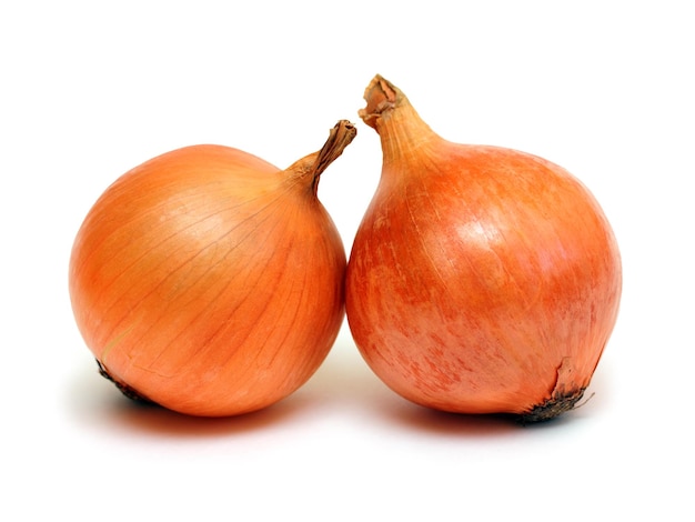 Two onion