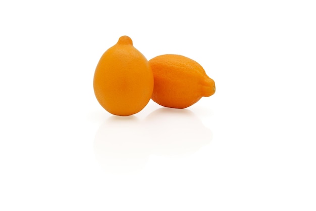 Two orange juicy lemons in on a white glossy background with reflection on the surface