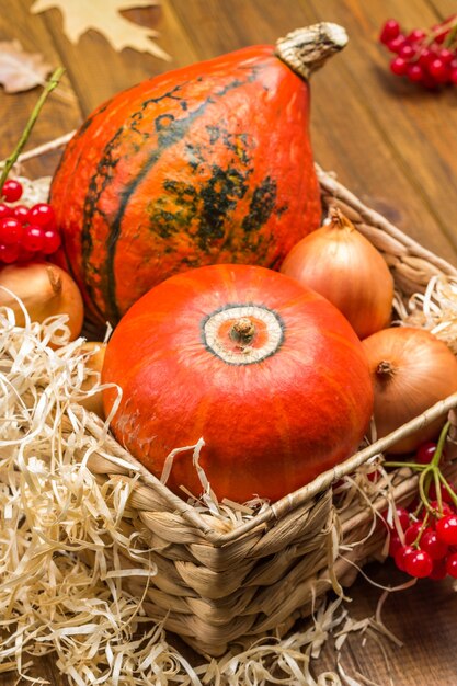 Two orange pumpkins and onions in wicker basket. Straw on basket. Wooden background. Top view