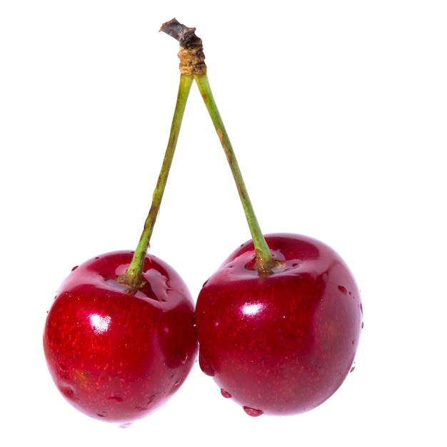 Two organic sweet cherries isolated on a white background