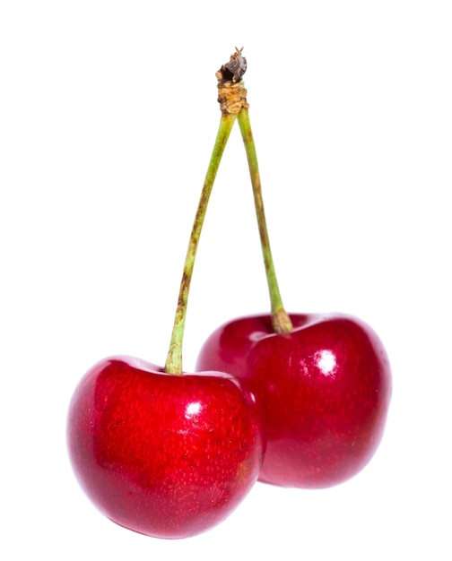 Photo two organic sweet cherries isolated on a white background