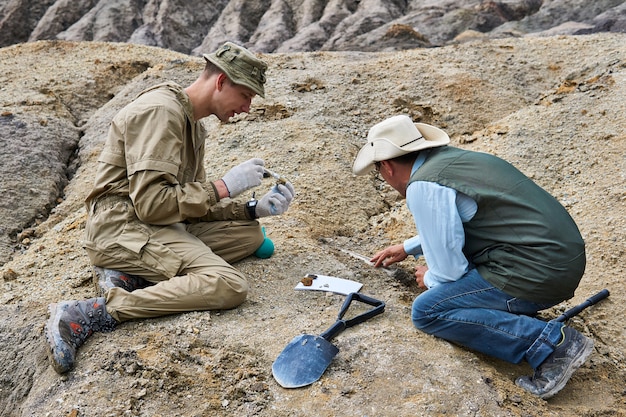 Two paleontologists extract fossilized remains from the ground in the desert