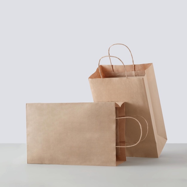 Two paper carton bags for commercial shopping in the store