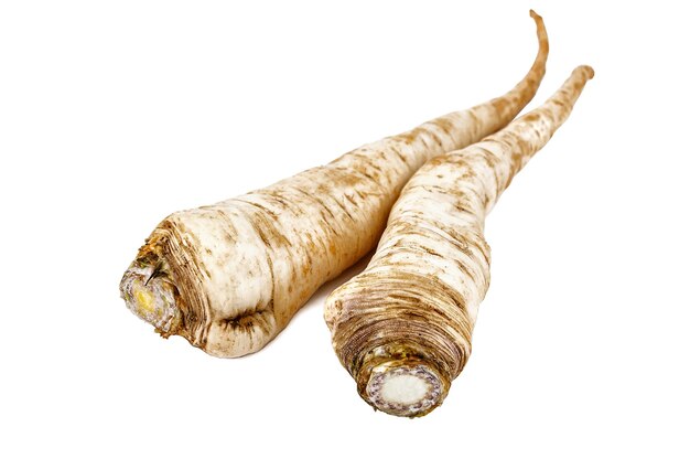 Two parsley roots on white background