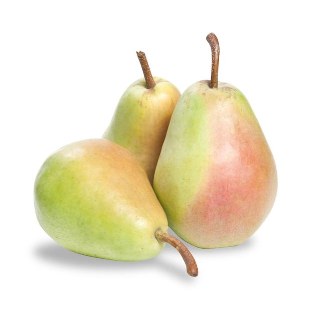 two pears with the word pear on them