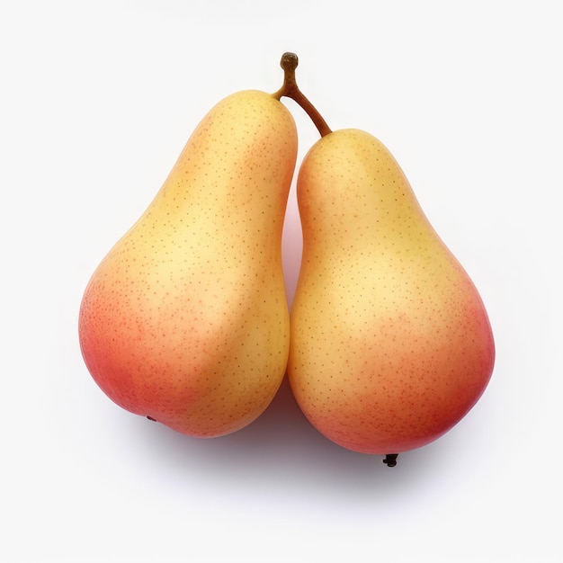 Two pears with the yellow on the bottom.