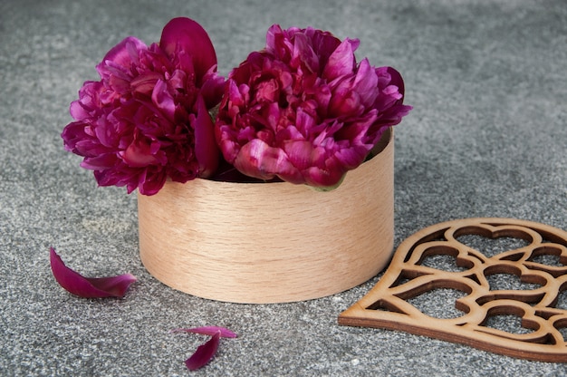 Two peonies in a box on gray