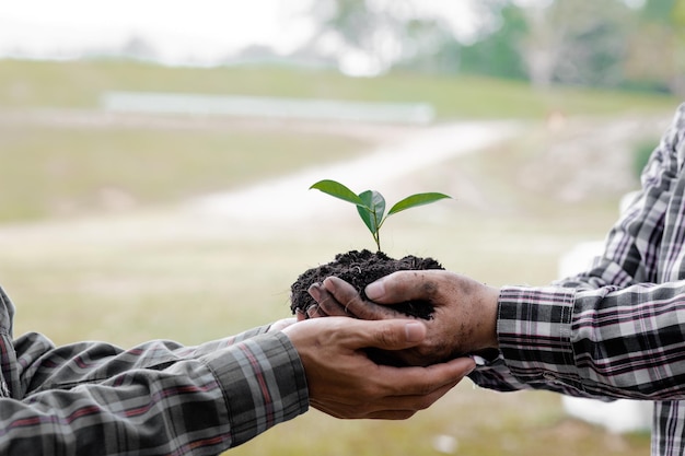 Two people carrying saplings to plant in a tropical forest a tree planting campaign to reduce global warming The concept of saving the world and reducing global warming