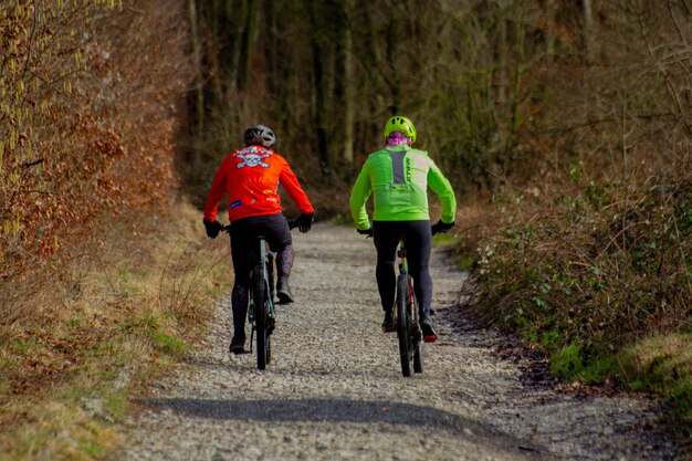 Two people cycling on a forest trail lined with trees high quality