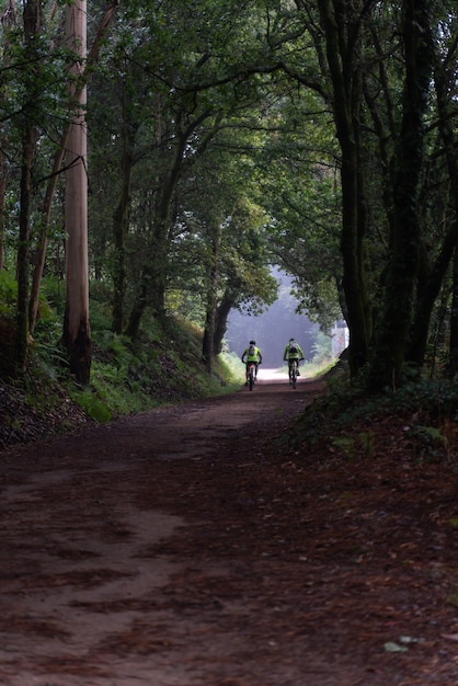 Два паломника из Сантьяго-де-Компостела по пути в туннеле между деревьями на велосипеде