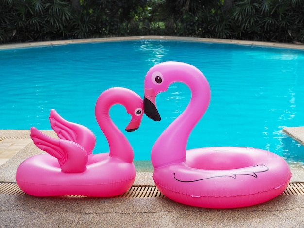 Two pink flamingo family near swimming pool