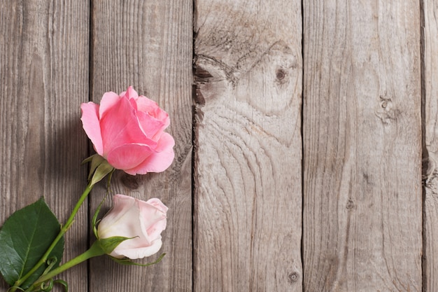 Two pink roses on old wooden surface