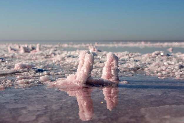 호주의 분홍색 호수 기슭에 있는 두 개의 분홍색 소금 결정