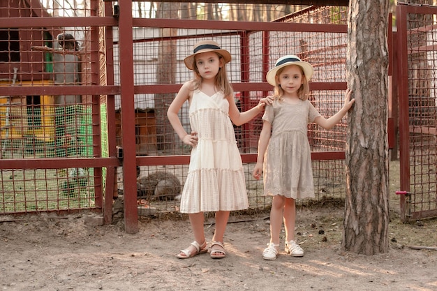 Two preteen girls standing near cages with domestic animals and birds in country estate