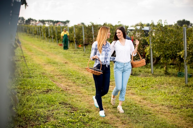 Two pretty young women walking in the vneyard