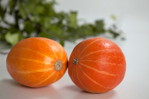 Two pumpkins on white wood table