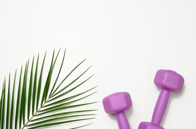 Two purple plastic kilogram dumbbells on a white background, top view. Sports equipment, copy space