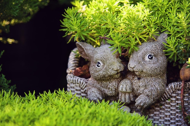 Two rabbits in a basket with moss