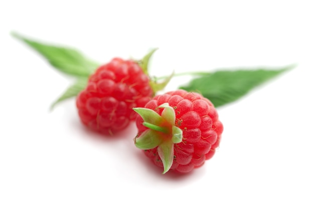 Two raspberries with green leaves on white