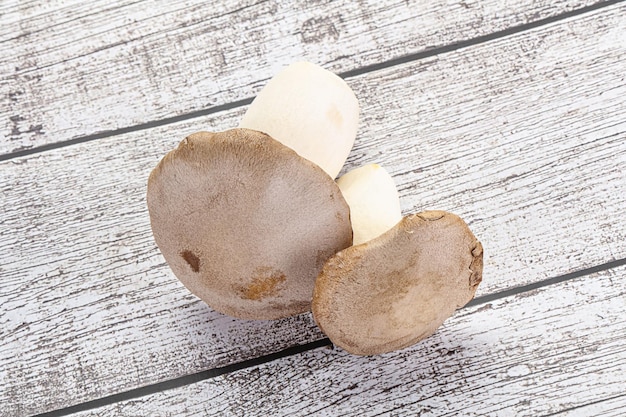 Two Raw Eringi mushrooms for cooking