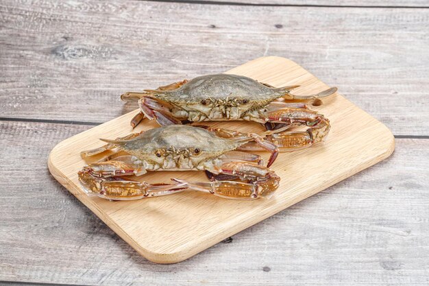 Two raw wild crab for cooking