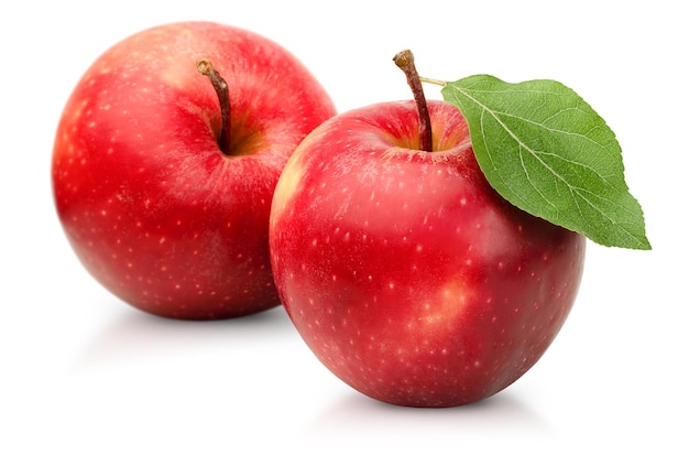 Two red apples on white isolated background