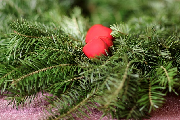 Two red hearts on background of fir branches.