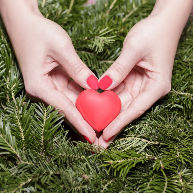 Two red hearts on background of fir branches.