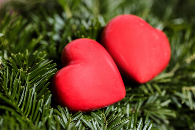 Two red hearts on background of fir branches.