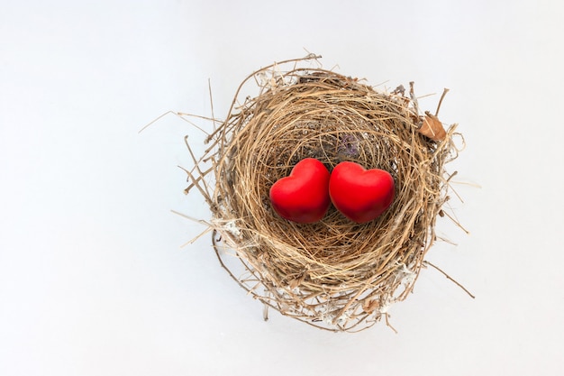 Two red hearts in nature bird nest