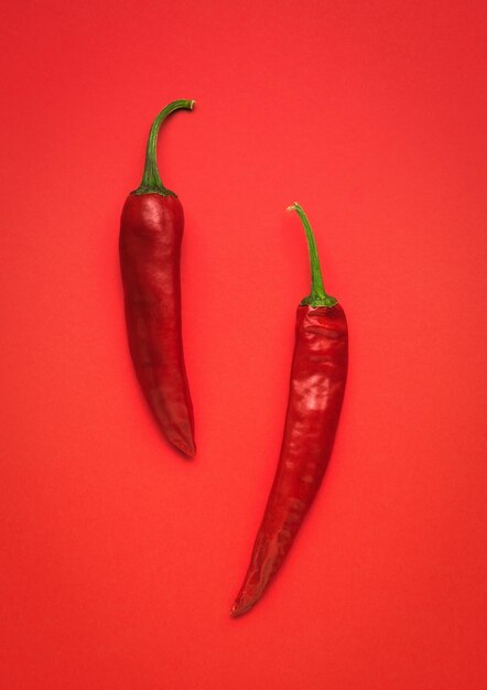 Two red peppers on a bright red background