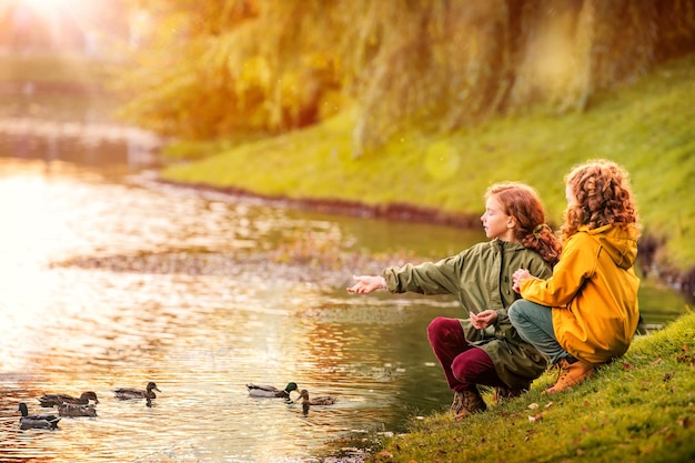 2 つの赤髪の女子高生の女の子の姉妹が、黄金の秋の葉の秋の間に都市公園の池のほとりで元気にアヒルに餌をやる