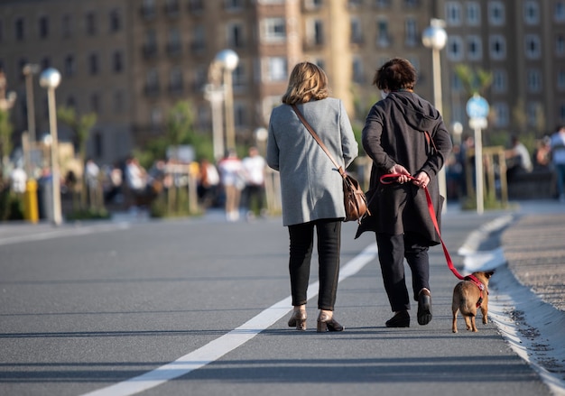 犬と一緒に歩いている2人の引退した友人