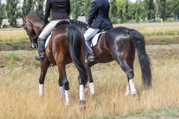 Two riders in the saddle, horses walk on the grass, part of the frame