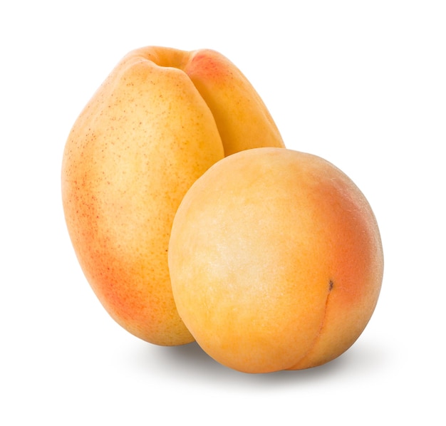 Two ripe apricots isolated on a white background