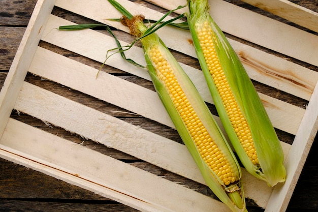 Two ripe ears corn wooden background