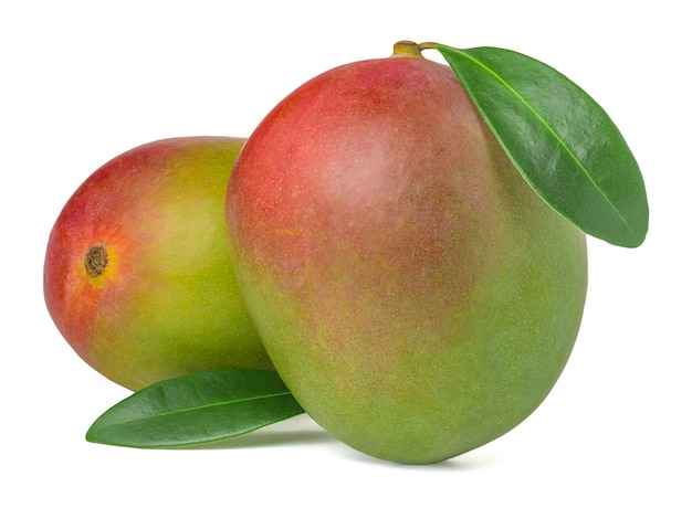 Due mango fresco maturo isolato su sfondo bianco