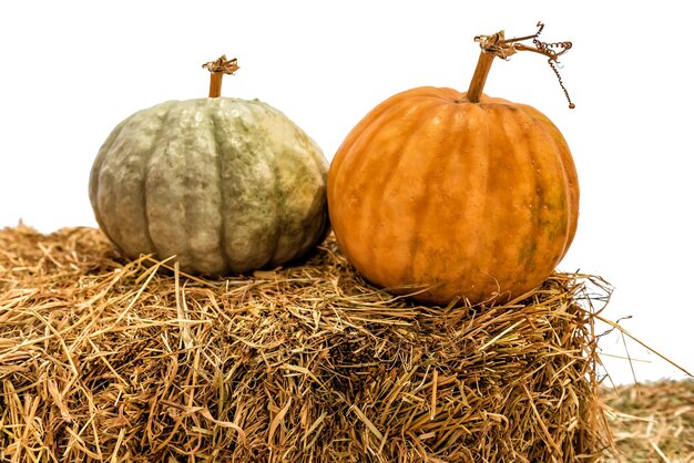 Two ripe pumpkins on hay on white background