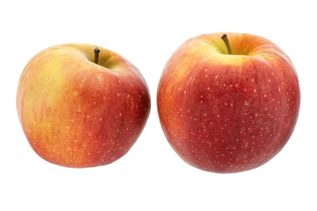 Two ripe yellowred apples on a white background