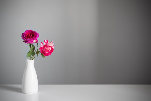 Two roses in  vase on gray background