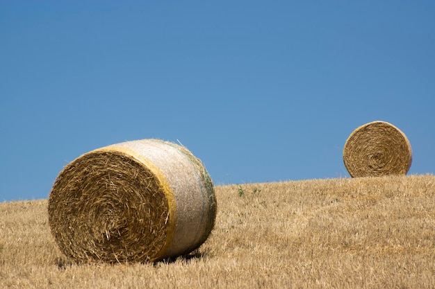 Photo two round bales of hay in the tuscan countryside