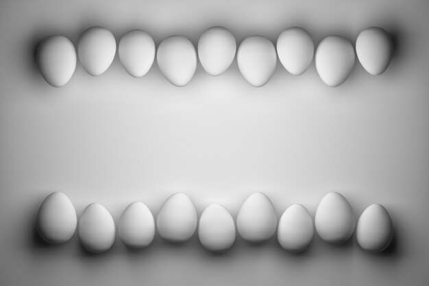 Two rows of white small eggs