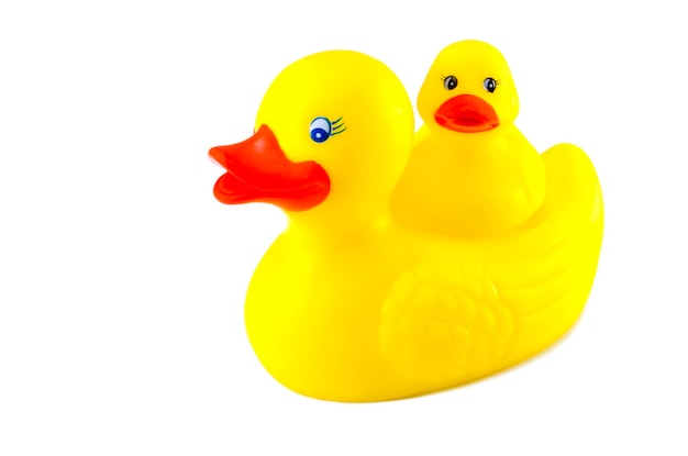 Two Rubber Ducks