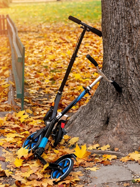 Two scooters near a tree in the autumn Park