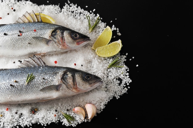 Two seabass fish on salt with with lemon, lime, rosemary and spices