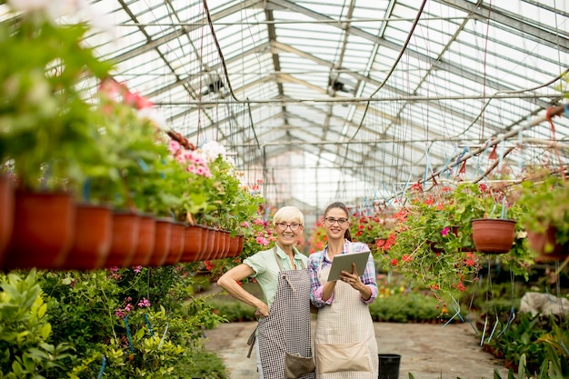 Two senior and young  florist women  selecting flowers while looking instructions from a tablet