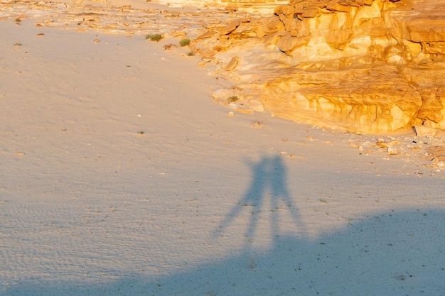 エジプトのシナイ半島の砂漠にある 2 つのシルエットの影